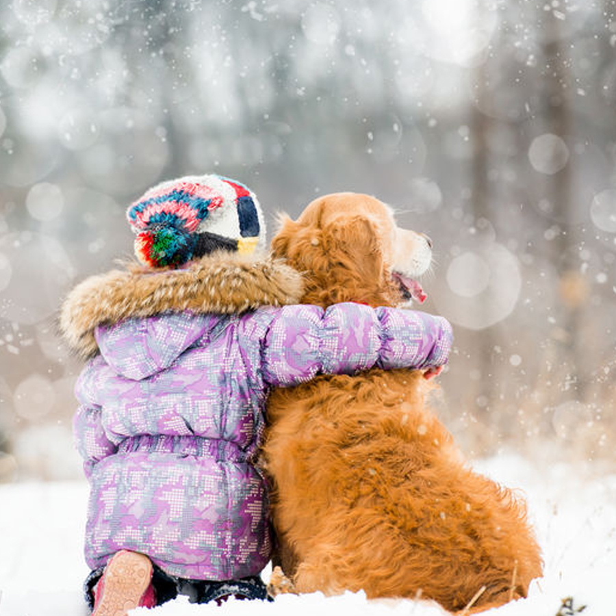 Foundation | Stratos Pizza Poutine