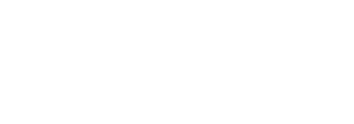 Feed Tiktok