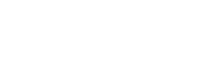 Feed Tiktok