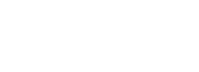 Feed Tiktok